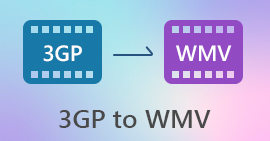 3GP Ke WMV