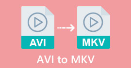 AVI เป็น MKV