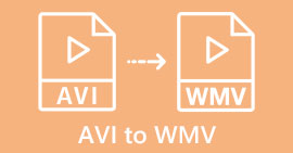 AVI เป็น WMV