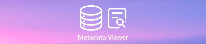 Metadata Viewer