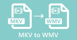 MKV'den WMV'ye dönüştürücü