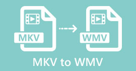 MKV para WMV