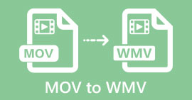 MOV en WMV
