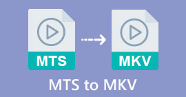 MTS'den MKV'ye dönüştürücü