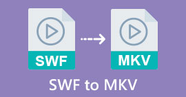 convertir SWF en MKV