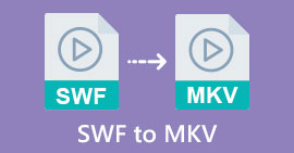 SWF to MKV