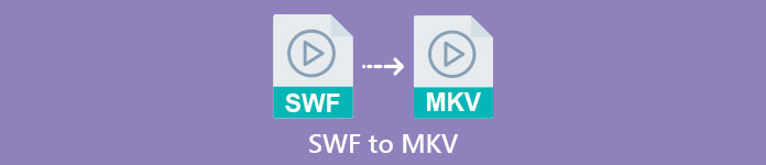 SWF to MKV