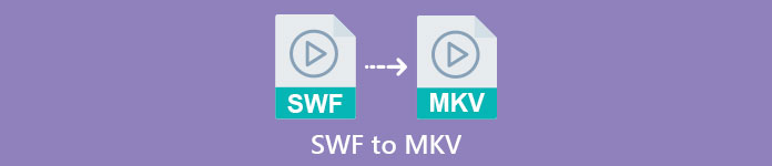 SWF เป็น MKV