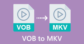 VOB เป็น MKV