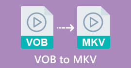 VOB a MKV