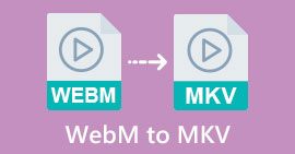 WEBM'den MKV'ye dönüştürücü