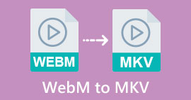 WEBM zu MKV