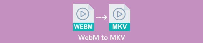 WEBM to MKV