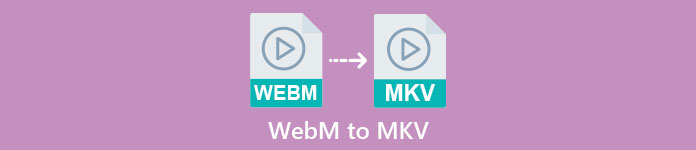 WEBM in MKV