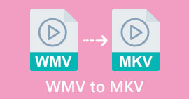 WMV kepada MKV