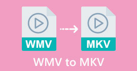 WMV в MKV