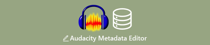 Audacity Metadata Editor