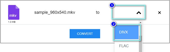 Choose the DIVX