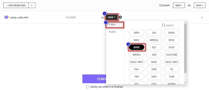 DIVX Output Format