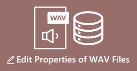 Eigenschaften von WAV-Dateien bearbeiten