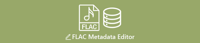 Editor Metadata FLAC