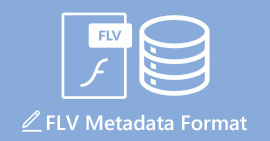 تنسيق البيانات الوصفية FLV