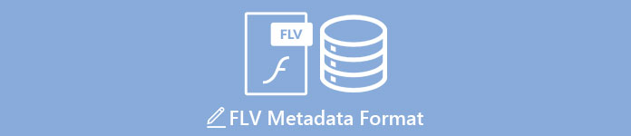 FLV format metapodataka