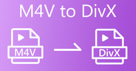M4V to DIVX