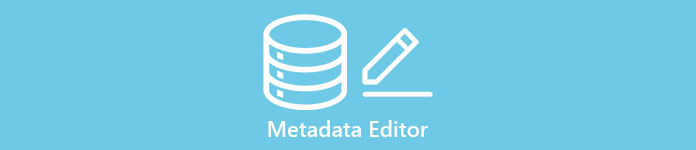 Editor metadat