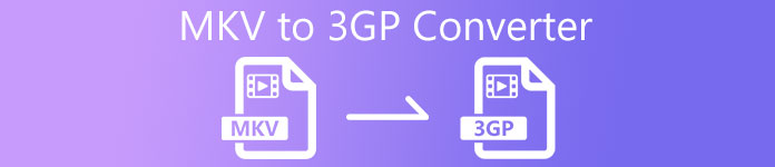 MKV to 3GP Converter