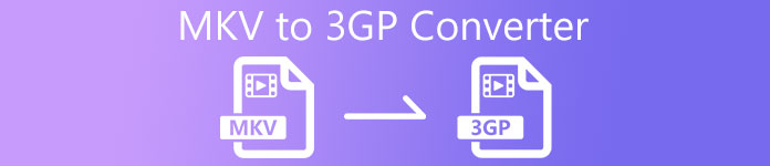 MKV til 3GP Converter