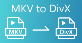 MKV เป็น DIVX