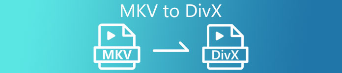 MKV إلى DIVX