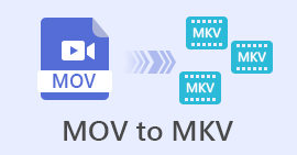 MOV 到 MKV