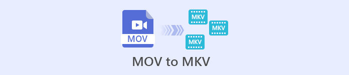 MOV naar MKV