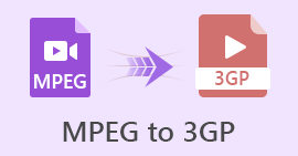 MPEG עד 3GP