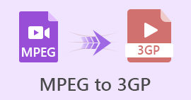 MPEG para 3GP