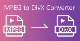 Convertitore da MPEG a DIVX