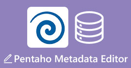 Edytor metadanych Pentaho