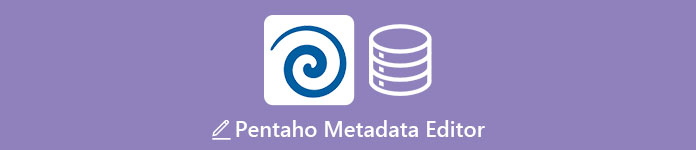 Pentaho Metadata Editor