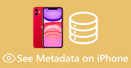 Siehe Metadaten auf dem iPhone