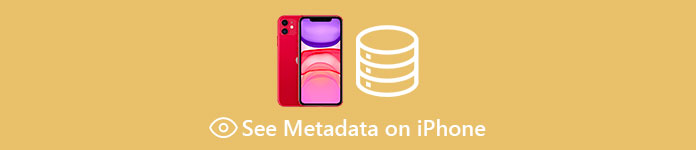 Lihat Metadata di iPhone