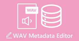 Editor Metadata WAV