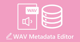 Editor de metadate WAV