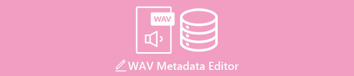 Editor de metadades WAV