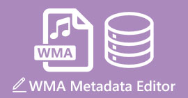 עורך מטא נתונים של WMA