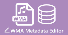 Editor Metadata WMA