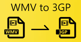 WMV para 3GP