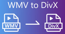 WMV to DIVX