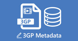 3GP metadata